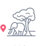 Minimalist African savannah with acacia trees icon